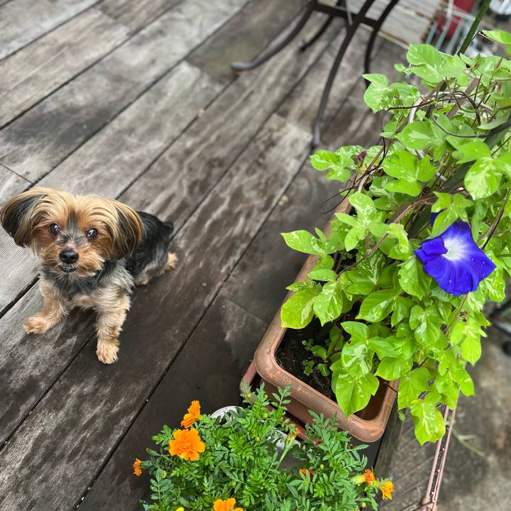 0a384ad9 b5af 4518 b7b2 3a46ab7980f5 1658354428205