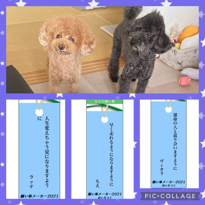 0a387a77 ec1d 47b9 98d5 1c03f6216d97 1625663904780