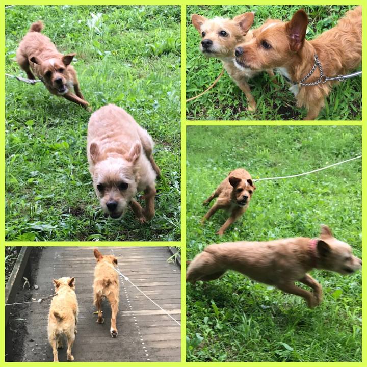 0a3882a3 5130 4e03 bd81 0b788f4ad109 1562708527700