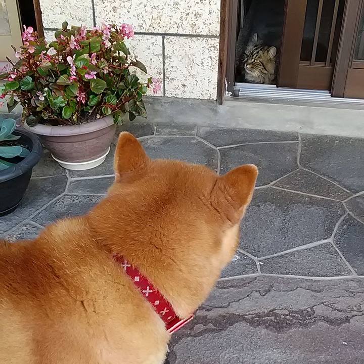 0a389f02 f9cc 4ed0 a666 7687f4ffee99 1685076371186