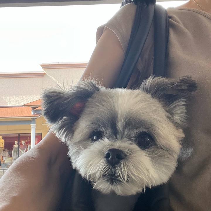 0a38a972 69a0 40ad 983c d62853b495a7 1661941698134