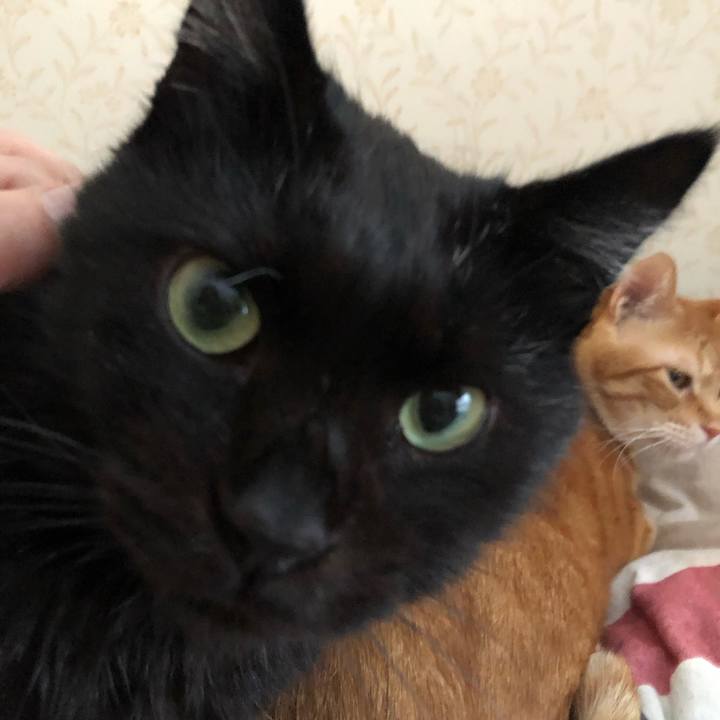 0a38b9f7 761a 4593 99e3 205bf722ade4 1575095126350