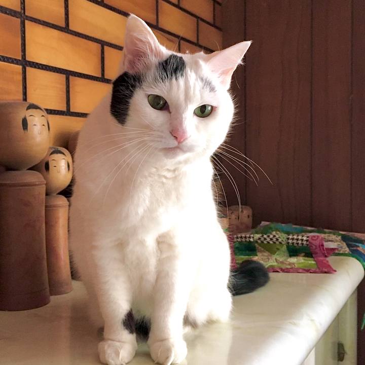 0a38ca3e bd6b 467e bc54 514e6e69a52d 1611643274174