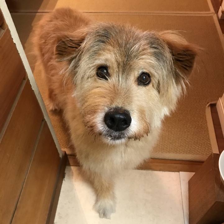 0a3926a1 50b1 46e0 b044 cb4b333b4c1b 1565361951988