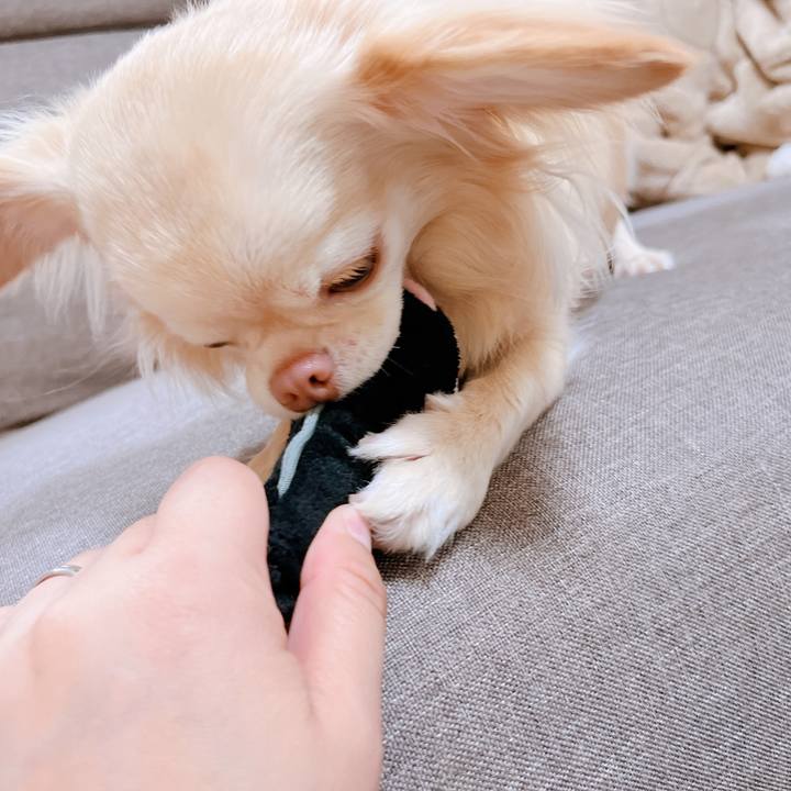 0a39344e ca73 4164 a9aa bfa32b762e47 1653993710771