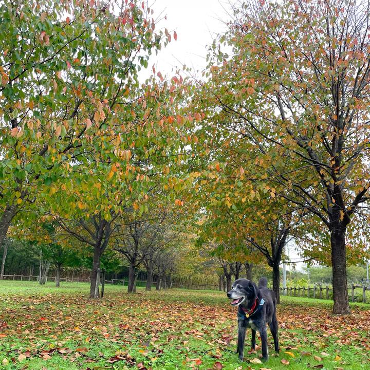 0a396312 7d98 4e15 9f66 393102360705 1759116733242