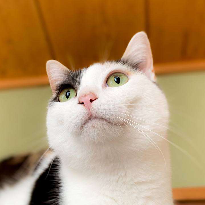 0a39a351 a416 4536 8675 dfbea7555b14 1591062743979