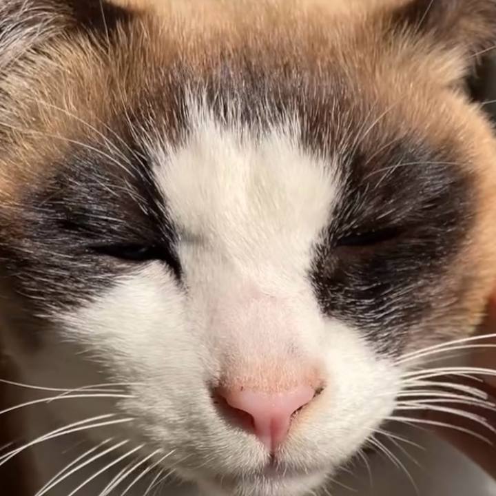 0a39d5be f774 4c35 8ca4 654cd3ef82c0 1742629370282