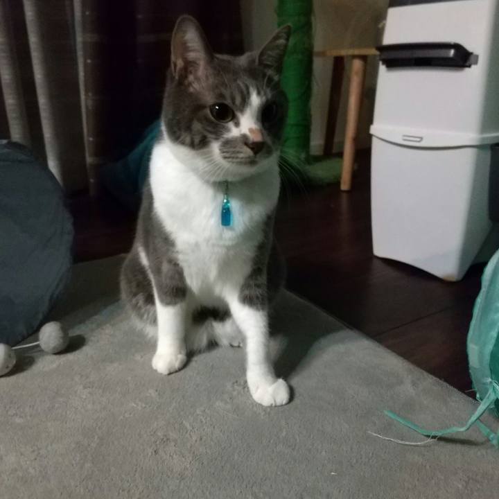 0a39f954 b5c9 4baf aa53 56961646013e 1637272173922