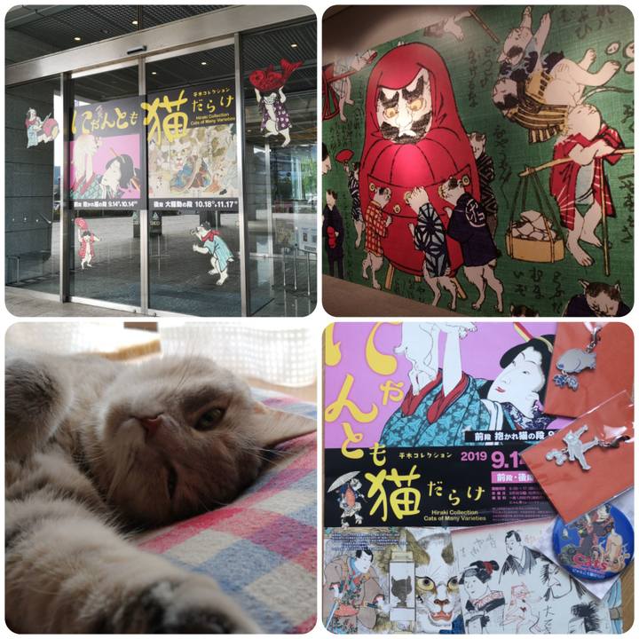 0a3a2d0e 7a77 4e43 9a9e 45eb4617cc4e 1568434548735