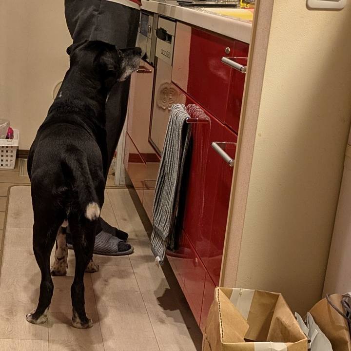 0a3a53c2 dd63 40cc 8100 a60ab14496b6 1770548568362