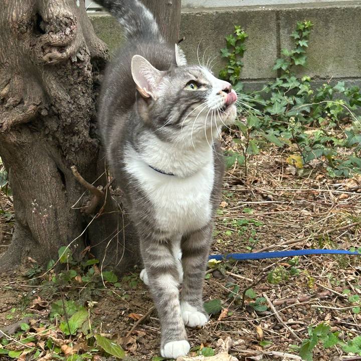 0a3a8f59 c06a 44db 9e75 0342429ce155 1769597102385