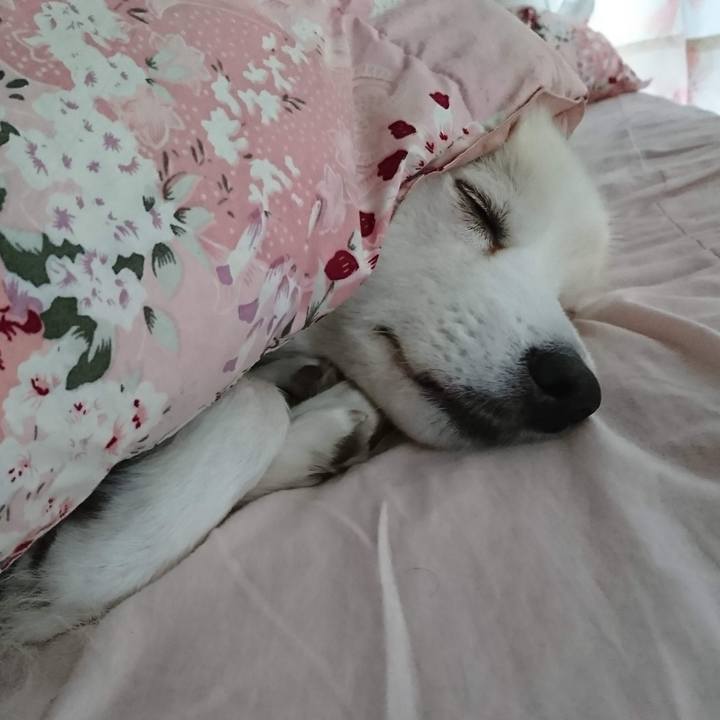 0a3ab551 fe35 4e0c 9880 a2758ba6af95 1668578602783