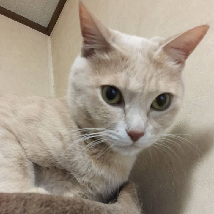 0a3ad5cd e41b 44de a207 de6e53d60318 1581753835931