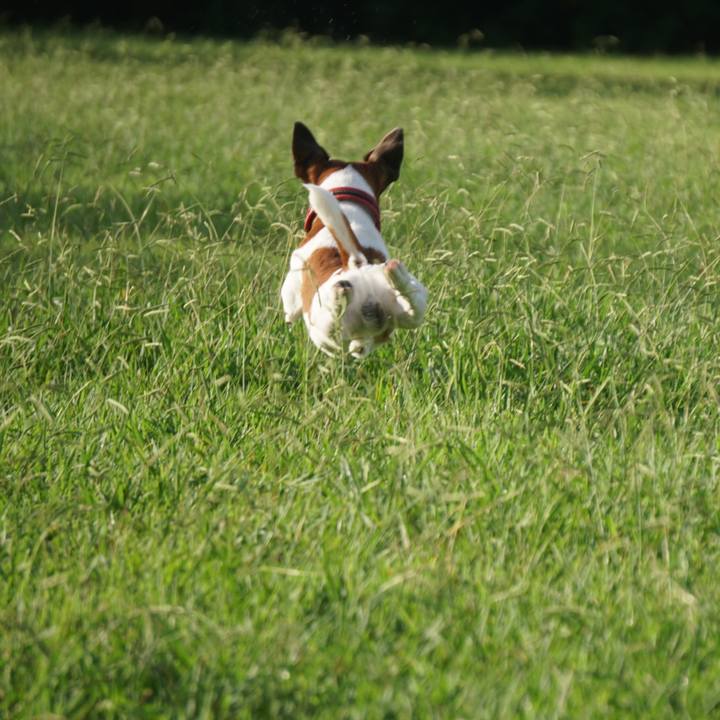 0a3ada48 dc51 4718 af3d a1b26c03846d 1536706576039