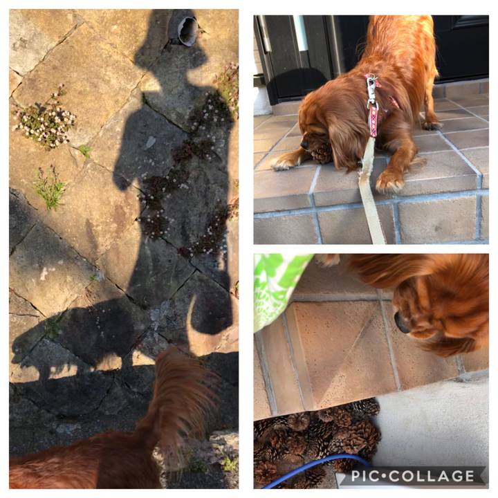 0a3aec63 8cdf 4ebf 8d5e 83a0d66f4a42 1557656666027