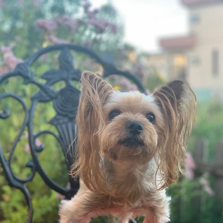 0a3b1444 b005 4c3d 9822 fecc194758e8 1599560584875