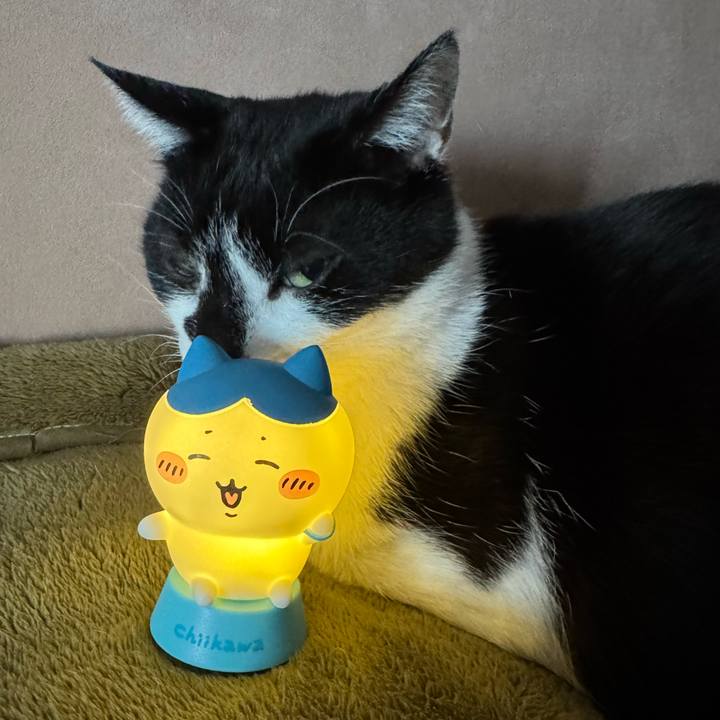 0a3b2515 8f23 4939 9a44 d67a80d96eee 1770863461968