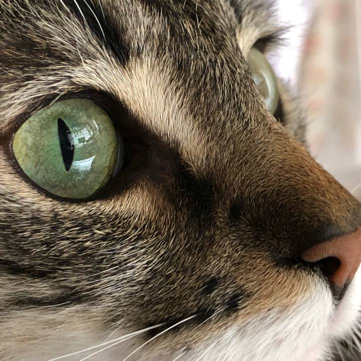 0a3b5709 6d1d 40a1 aa4f 34c57f1f1cb4 1520645431174