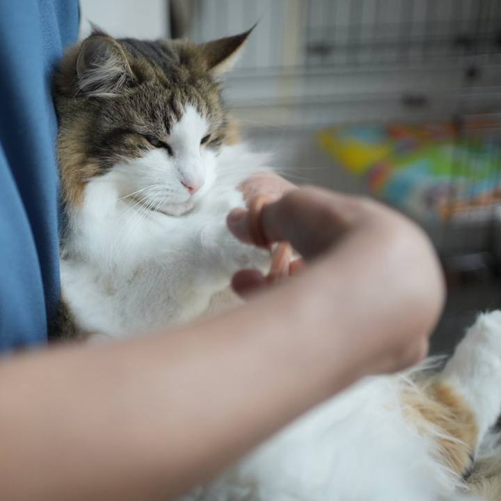 0a3ba42c 8187 4926 b2ed 5caabe3c6058 1714984133929