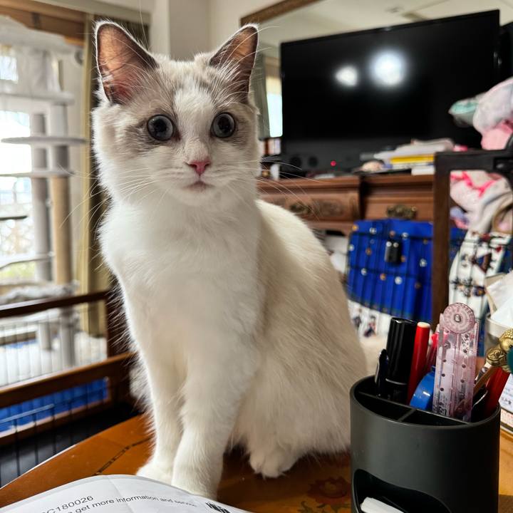 0a3bbb83 0f5e 4805 bf66 09d7fe121606 1750668017986