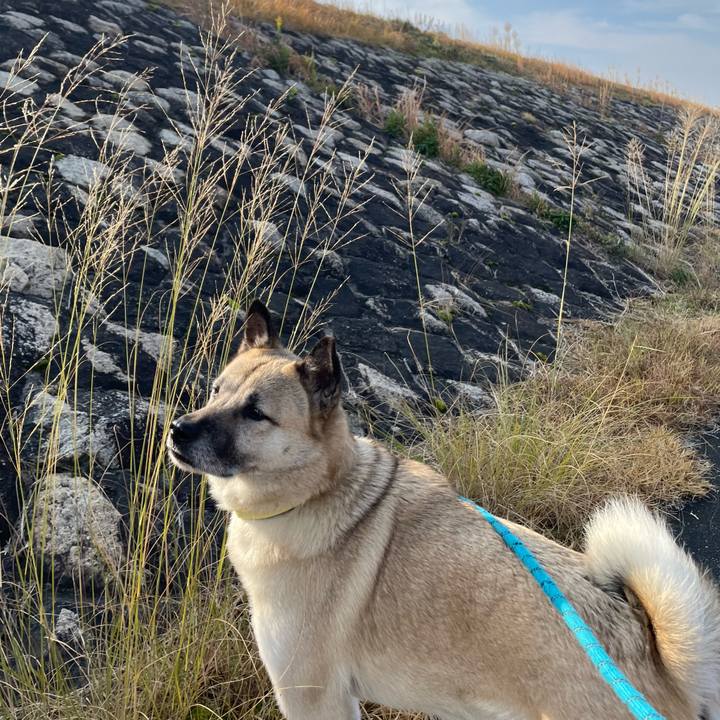 0a3c14be 1396 4aa6 85cb a6842afffd46 1703934276060