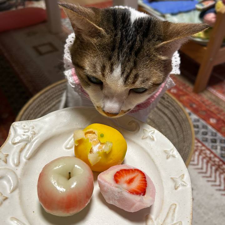 0a3c3c96 e5e3 4f1f baa4 08f81bf7a86a 1763896585337