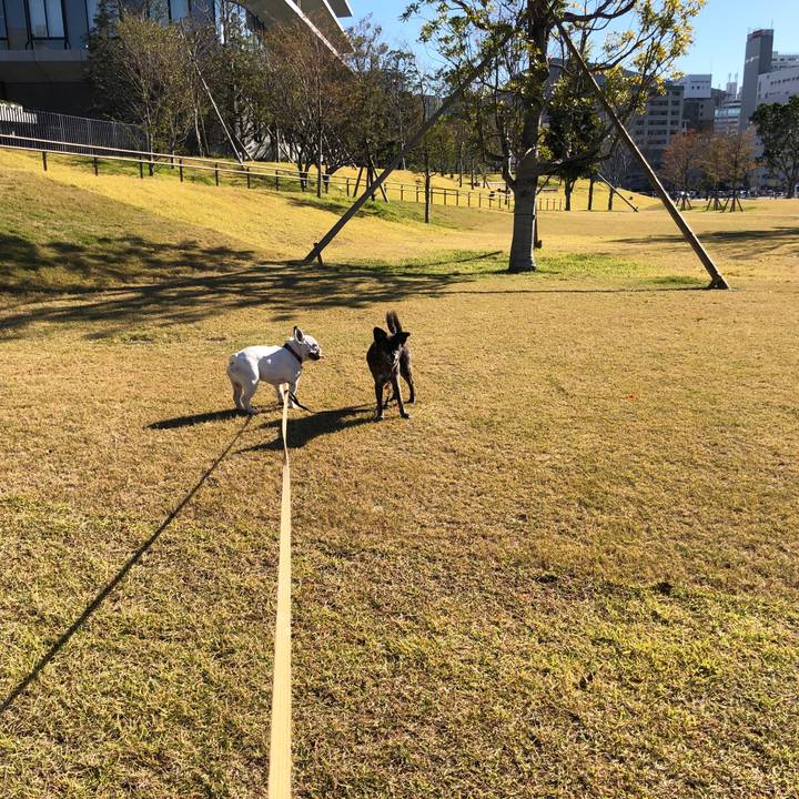 0a3c971c d9b1 42f9 a65b ed1cf831a952 1573012298287