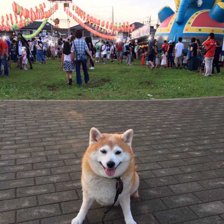 0a3cca39 177a 4643 bdf3 70c725308019 1564301483342