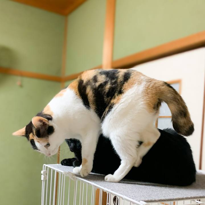 0a3cdbb9 326c 41b0 9028 bd38d40e9cc2 1579485918315