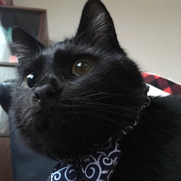 0a3cf3bf 6f8f 4056 8e09 d438ab79aa62 1548541859621