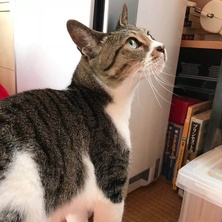 0a3d5d59 5e1f 476b a3d0 3b6360d84a5a 1515718796859