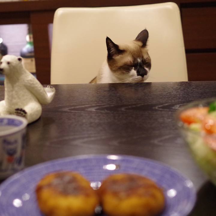 0a3d6776 f8d2 4c61 8d16 12930adab14d 1541932353633