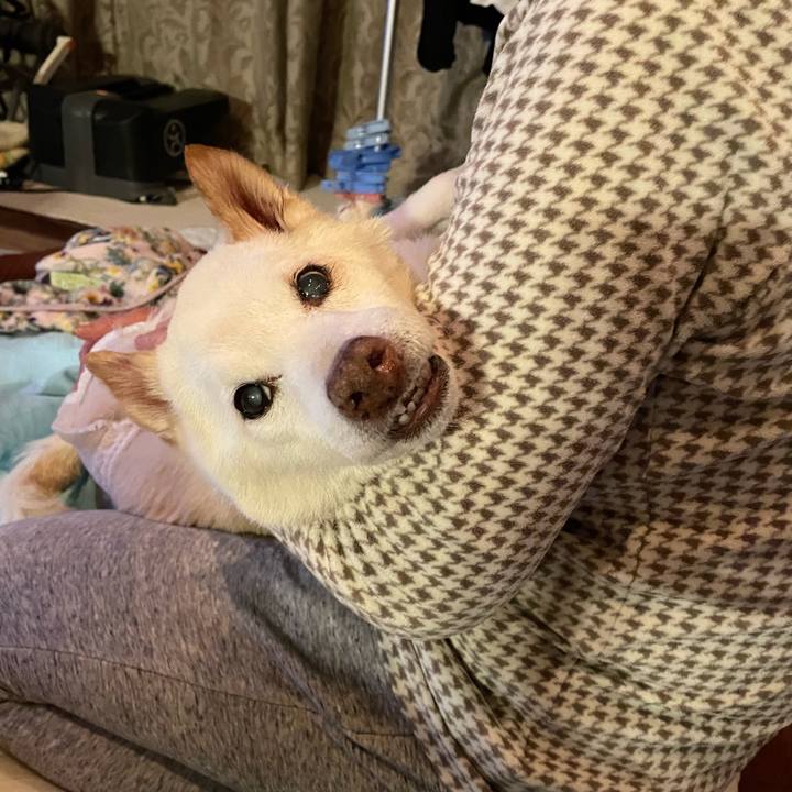 0a3d7045 7a3a 41cc 9c74 ffd2506e0141 1678271789650