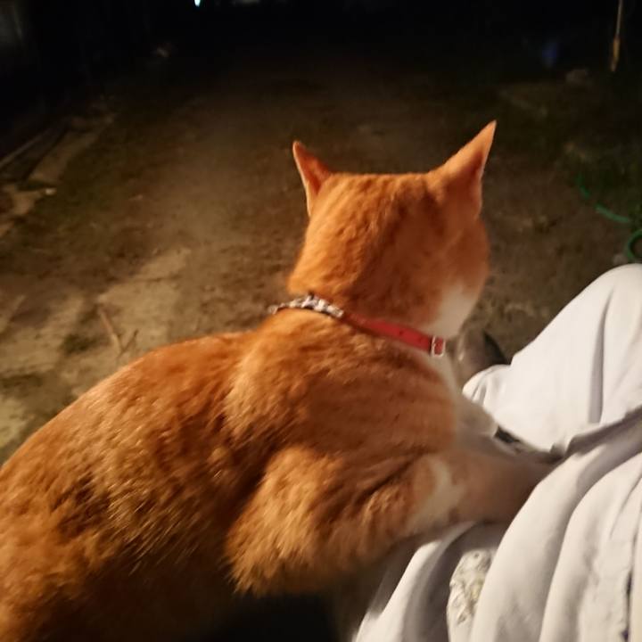 0a3d70e3 9e4b 4d3b 9570 9f1285f481d0 1569923306660