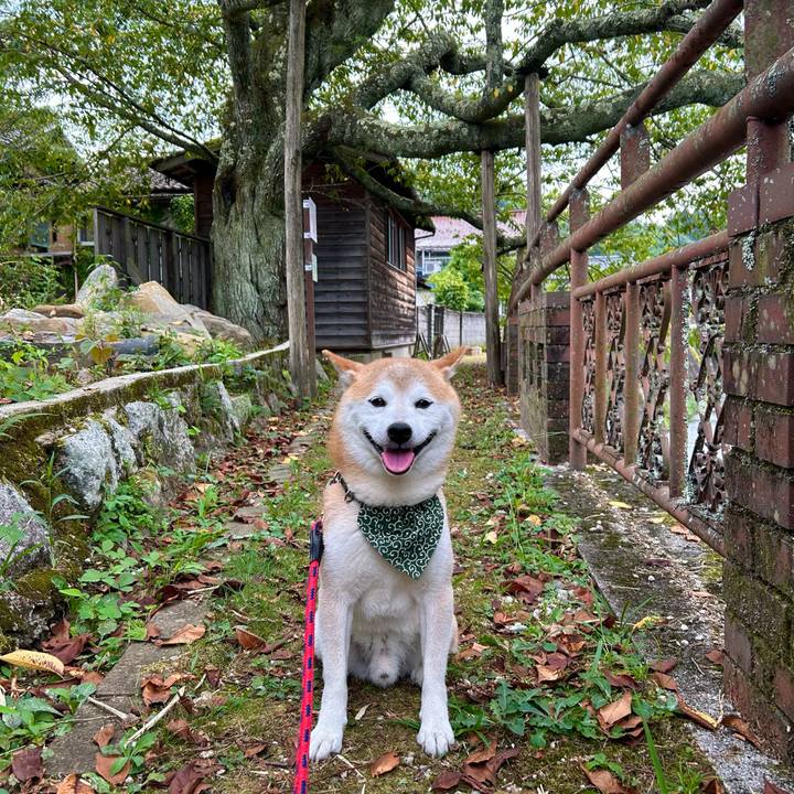 0a3d7106 0eb3 47b4 957e 016aca6102ea 1724670049640