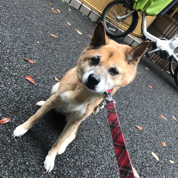 0a3d8063 ee50 405e 82ab 4a9b64a5aabc 1507941164419