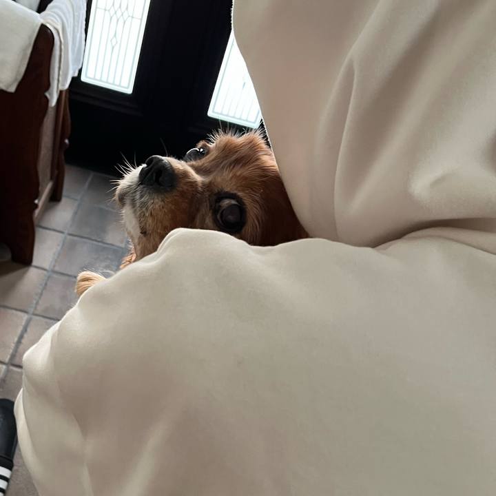 0a3dafe7 819c 4271 af38 5426c24db027 1733010276956