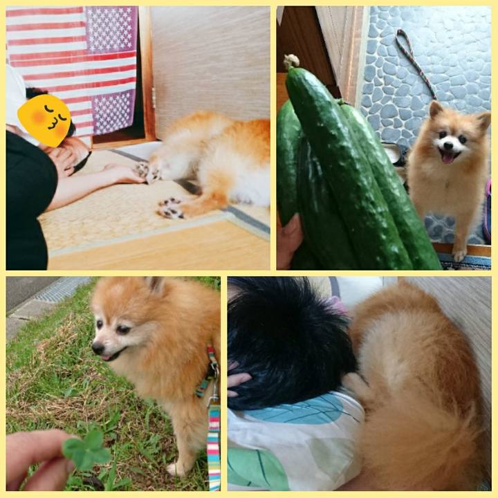 0a3df56e 118c 48f9 9c6c 78740a2a9d15 1564092452090