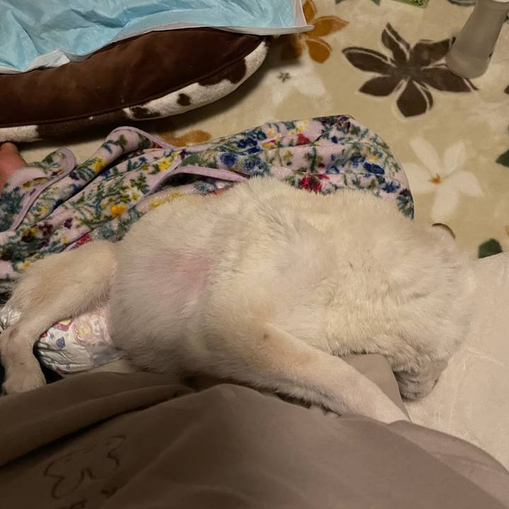 0a3e0d95 ba1e 4977 82bb 65e30a1b632b 1669915421279