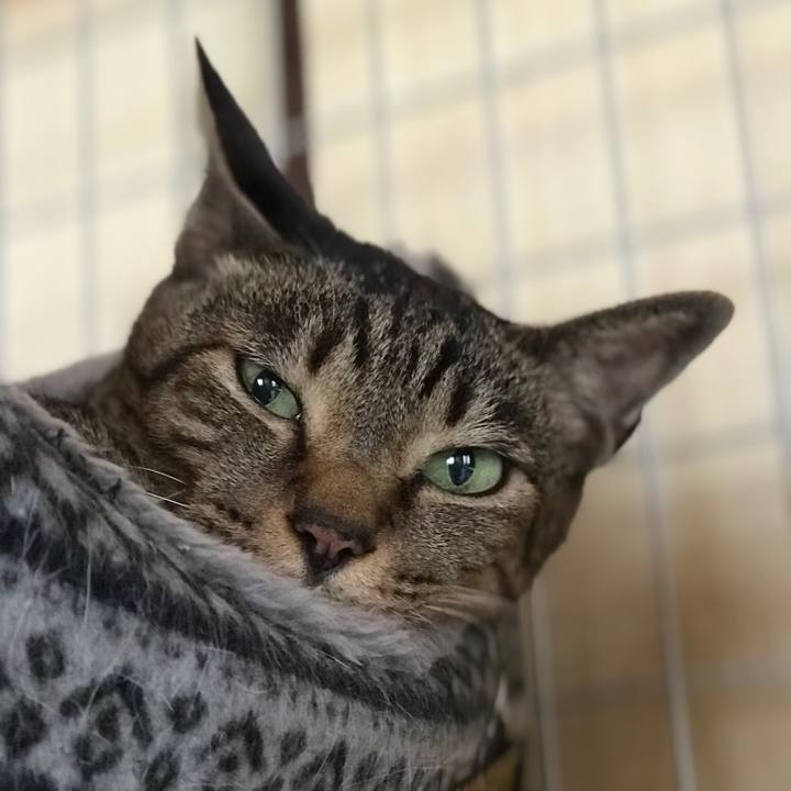 0a3e3682 e888 4d8d 9cc9 f34503e80d99 1529805282123