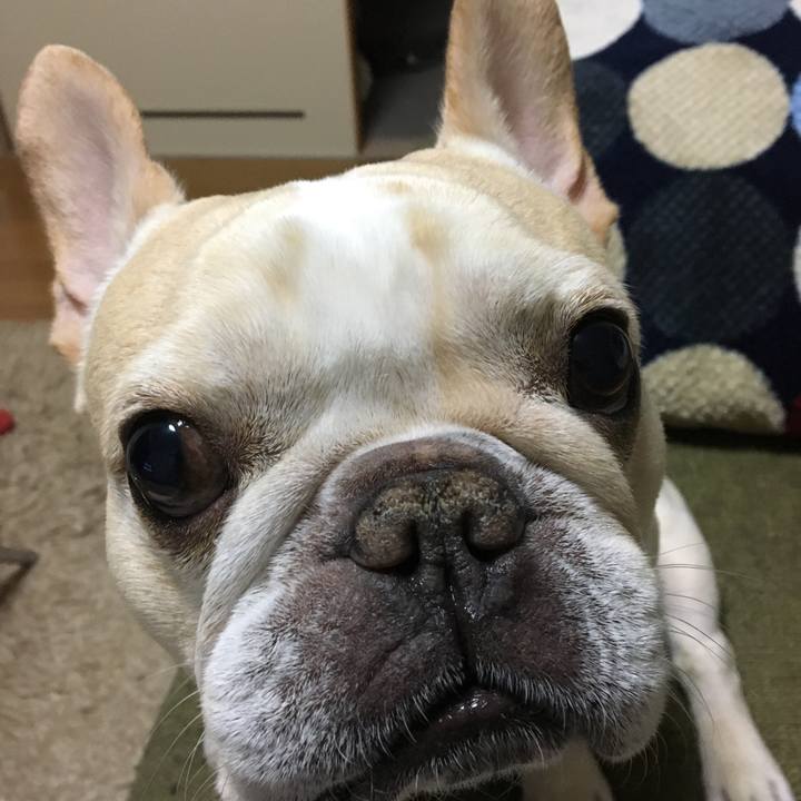 0a3eda15 d930 4e91 8f0a 1089ba06e2c7 1515239168996