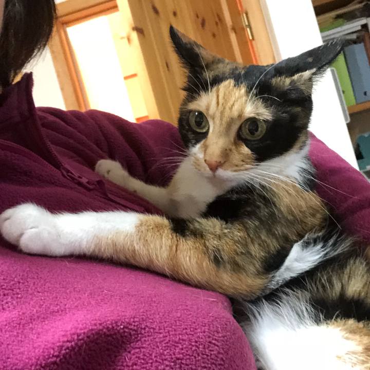 0a3ee40c fb6e 41ad 88b9 203bb324295b 1541383676535