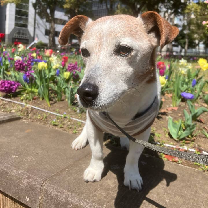 0a3ef61b 2ede 4cd2 8a9f 2ec26fb9e175 1774081923068