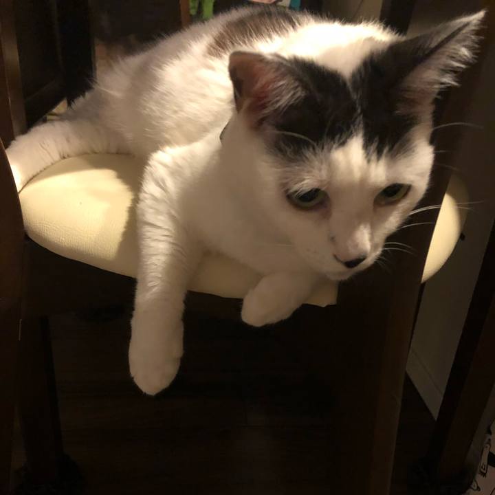 0a3f0975 be80 419c 818d 169ca4cacd3e 1562592982352