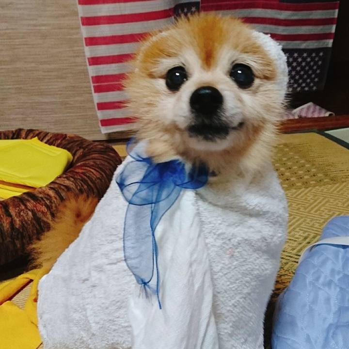 0a3f5083 23e6 40ec ab5d b7678256e1c6 1562153243095