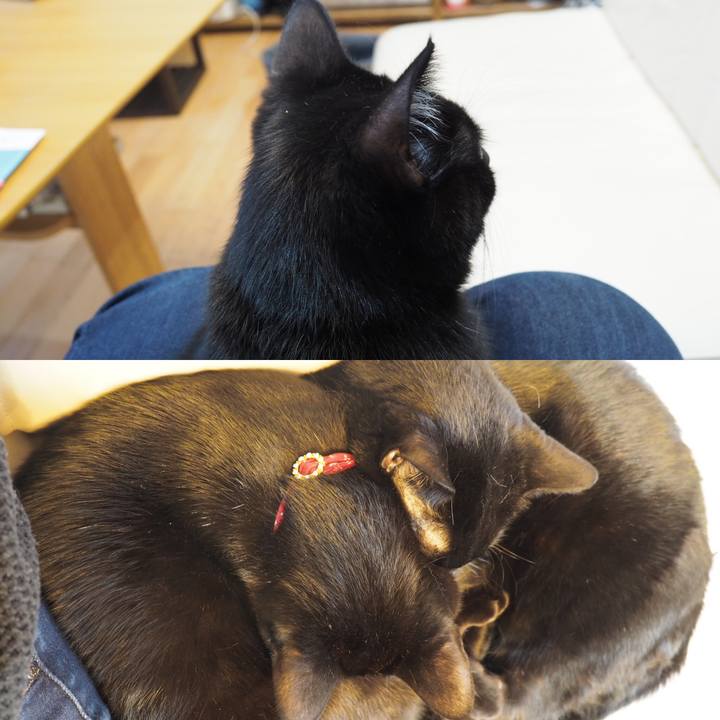 0a3f53fb 38fc 4c94 9538 6a580fa80412 1540963583473