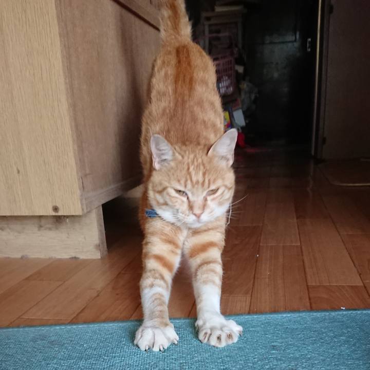 0a3f936c 299a 4447 9ab5 dc9a0981630d 1562751241145