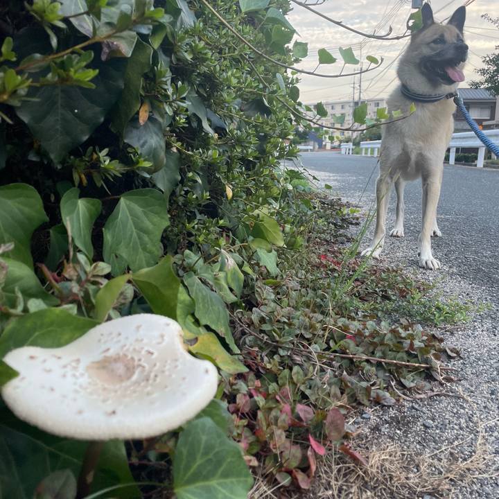 0a3fbea0 e4ba 4b17 9fdd c995bea7e118 1661262273238