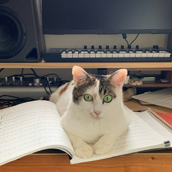 0a3ff36e de82 445a 9f21 1f31b9219d3d 1665381289123